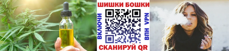 продажа наркотиков  Нижняя Тура  МЕГА   Еда ТГК конопля 