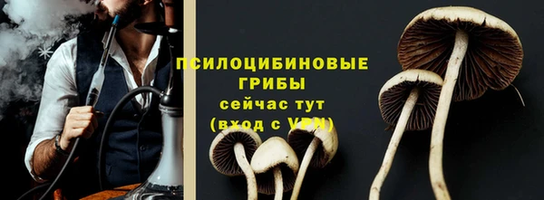 герыч Няндома