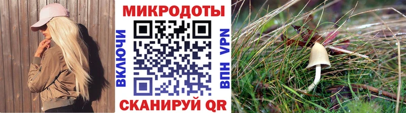 Псилоцибиновые грибы Magic Shrooms маркетплейс формула Нижняя Тура