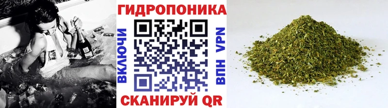 Конопля OG Kush  купить  цена  Нижняя Тура 